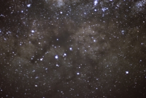 GalacticKiwiLR-1 (Large)