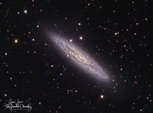 NGC253smlweb