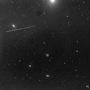 SN 2022ewj in NGC 3367