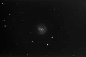SN in NGC3367 CAS 16"
