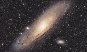 M31