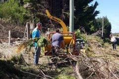 IMG-20190302-WA0005c-576x1024-1