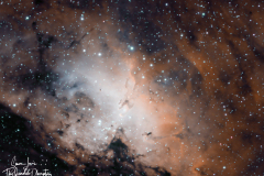 Eagle-HOO-corewebsmal