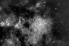 NGC2040-pushed-1024x847-1