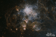 NGC2070-ASI294MM-BiColour-Large
