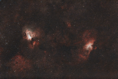 PI-eagle_and_swan-PNG