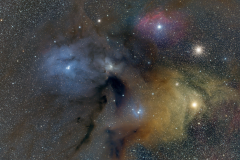 Rho-Op-web-Lg-Large