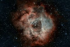 Rosette-BiColour-1024x826-1