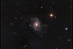SN-2021aefx-in-NGC-1566