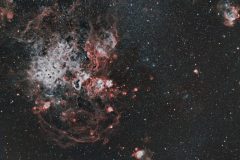 Tarantula-First-attempt-1024x774-1