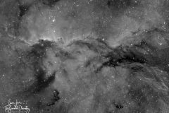 The-Dragons-of-Ara-Selwyn-logo-1024x720-1