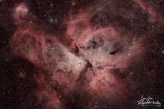 carinaweb-Large