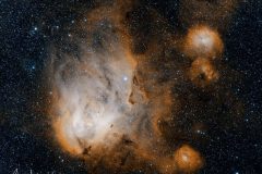 ic299bicolourweb-Large-1024x871-1