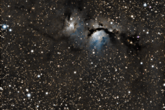 m78-mushy