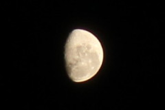 IMG_0274-2