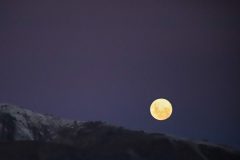 IMG_2456-scaled