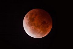 IMG_7121-Edit-03-scaled