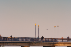 full-moon-rise-01-