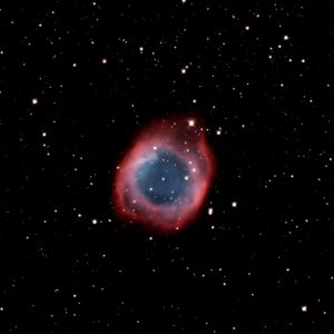 21743438_10155714242808482_6781849901697724492_o