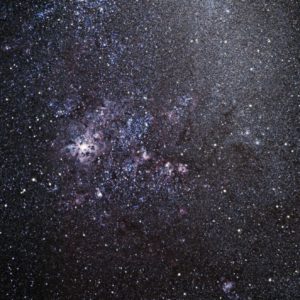 Tarantula.jpg.707e50b899d066f24bafc766e2500893